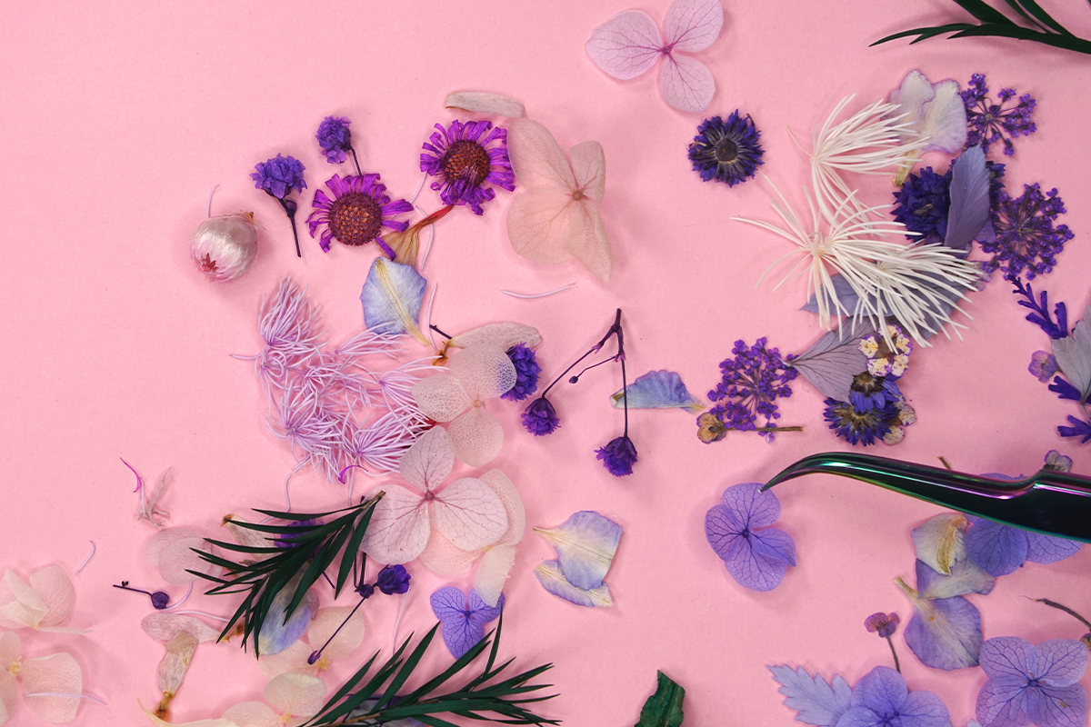 Jolifin Dried Flowers Mix - pastel-rose