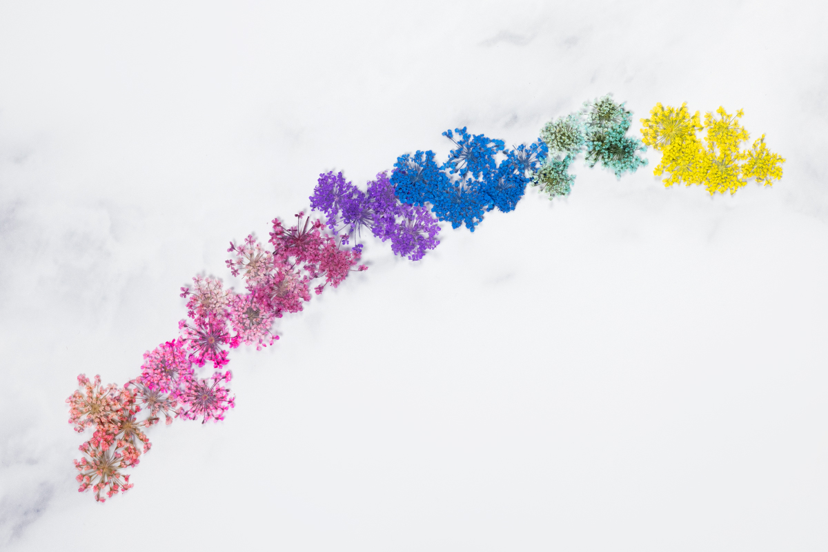 Jolifin Dried Flowers - Mini flowers turquoise