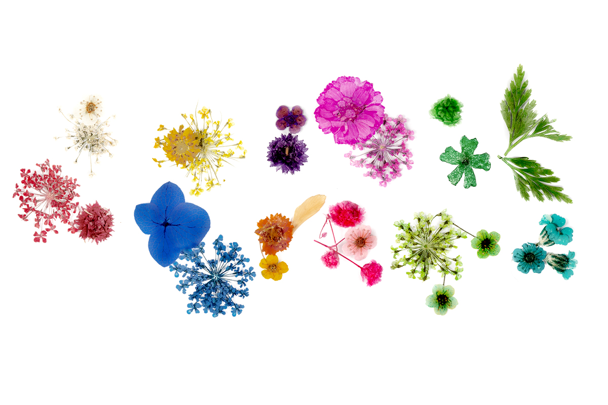 Jolifin XL Nail Art Display - Dried Flowers No. 6