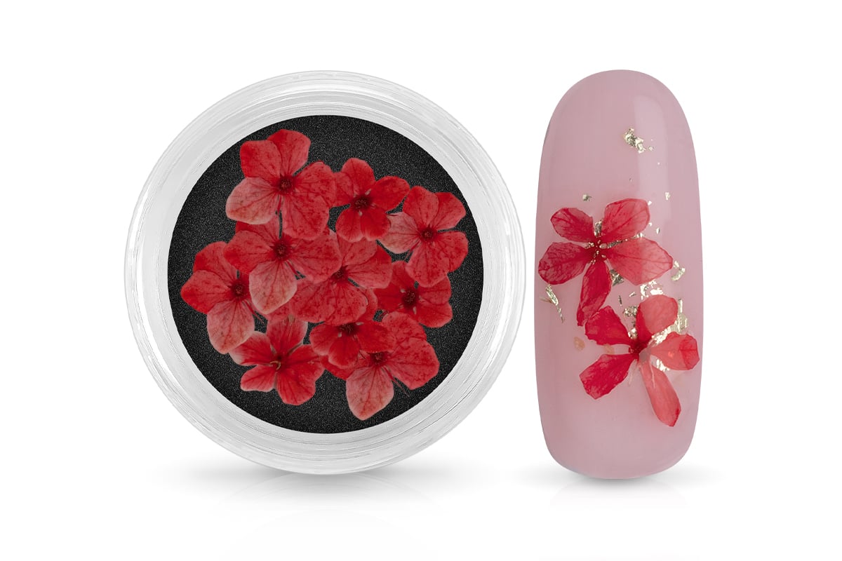 Jolifin Dried Flowers - kleine Blüten rot