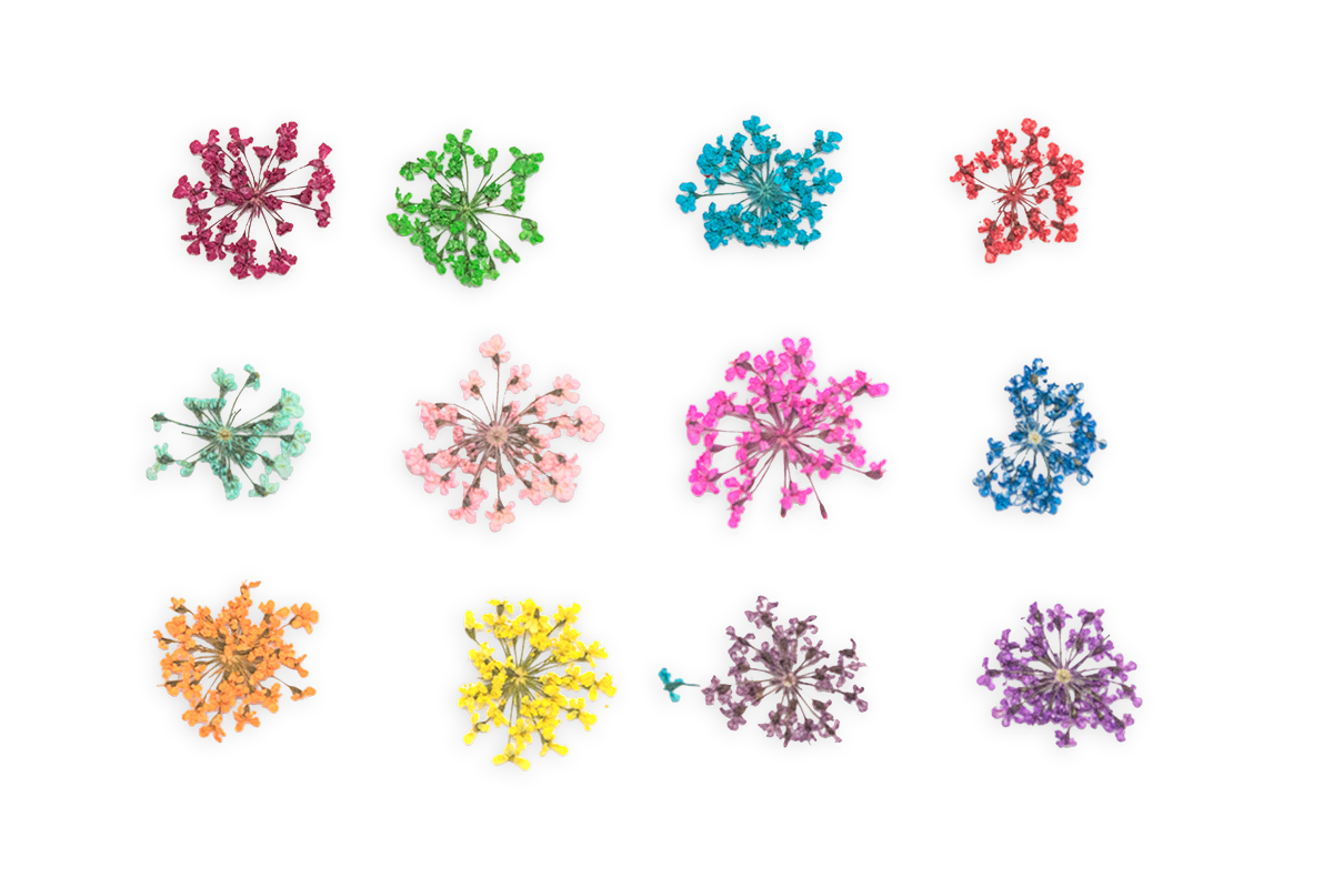 Jolifin XL Nail Art Display - Dried Flowers No. 2