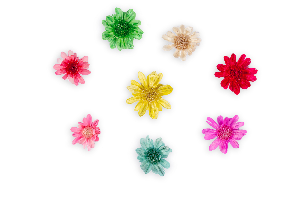 Jolifin XL Nail Art Display - Dried Flowers No. 10