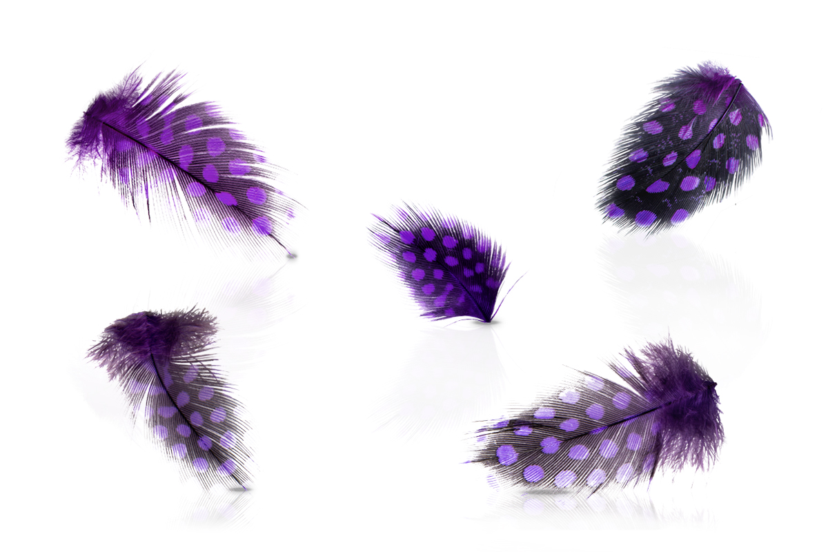 Jolifin Nailart Feder purple leopard