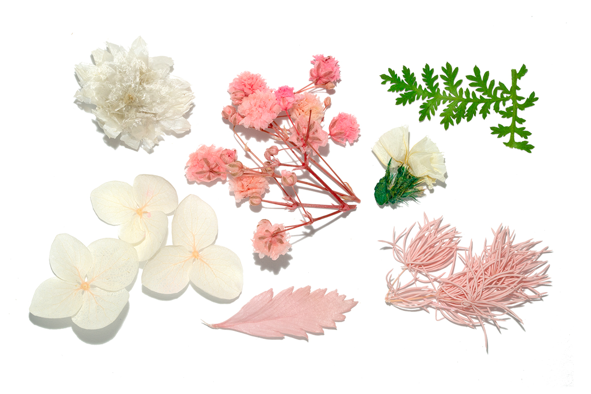 Jolifin Dried Flowers Mix - pastel-rose