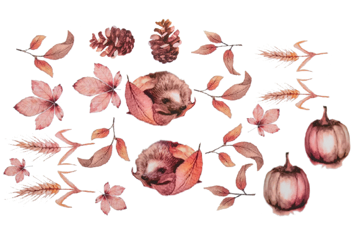 Jolifin Trend Tattoo - Autumn 20
