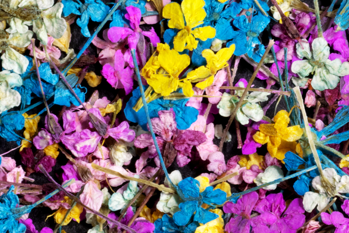 Jolifin Dried Flowers - Mini Blüten colorful mix