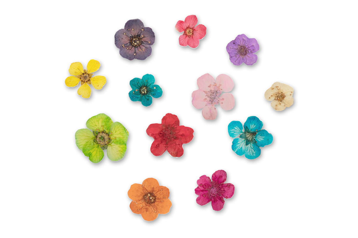 Jolifin XL Nail Art Display - Dried Flowers No. 7