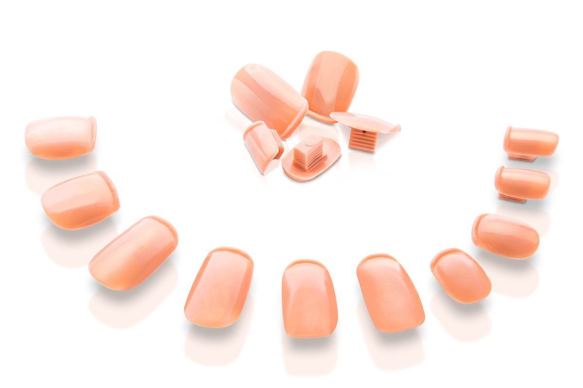 Nail Trainer Starter Set