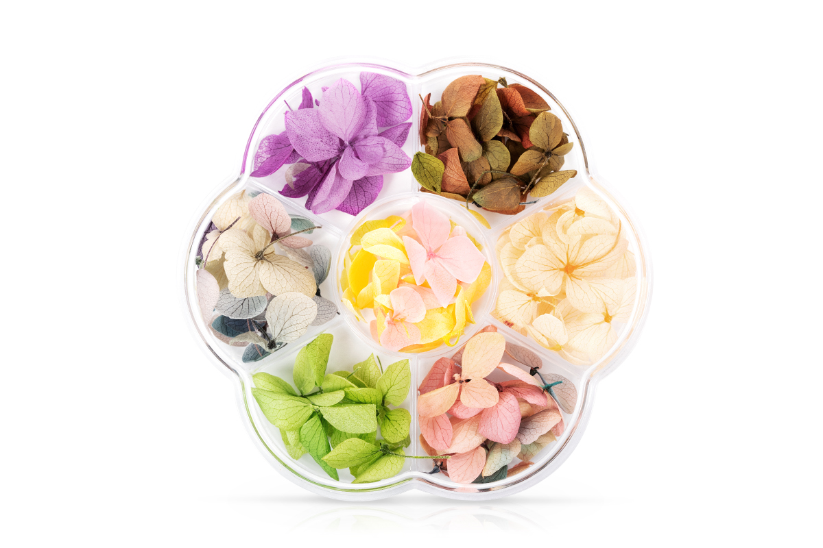 Jolifin XL Nail Art Display - Dried Flowers No. 4