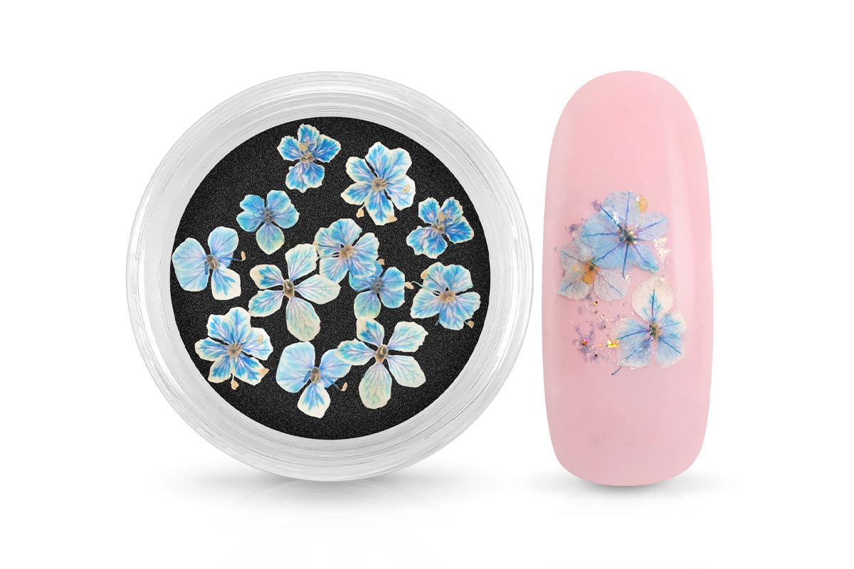 Jolifin Dried Flowers - kleine Blüten blau