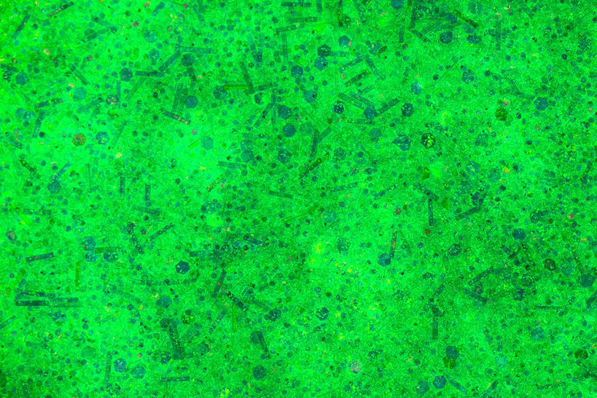 Jolifin Nightshine glitter powder - neon-blue