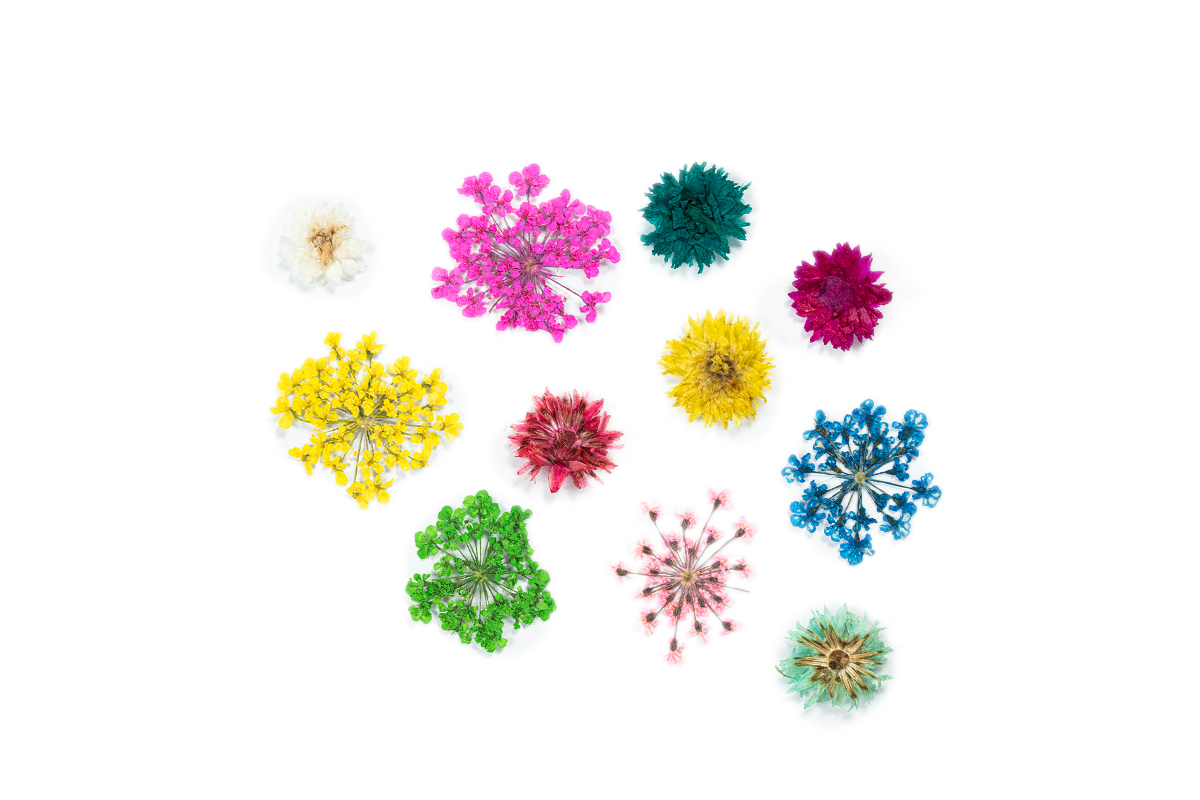 Jolifin XL Nail Art Display - Dried Flowers No. 8
