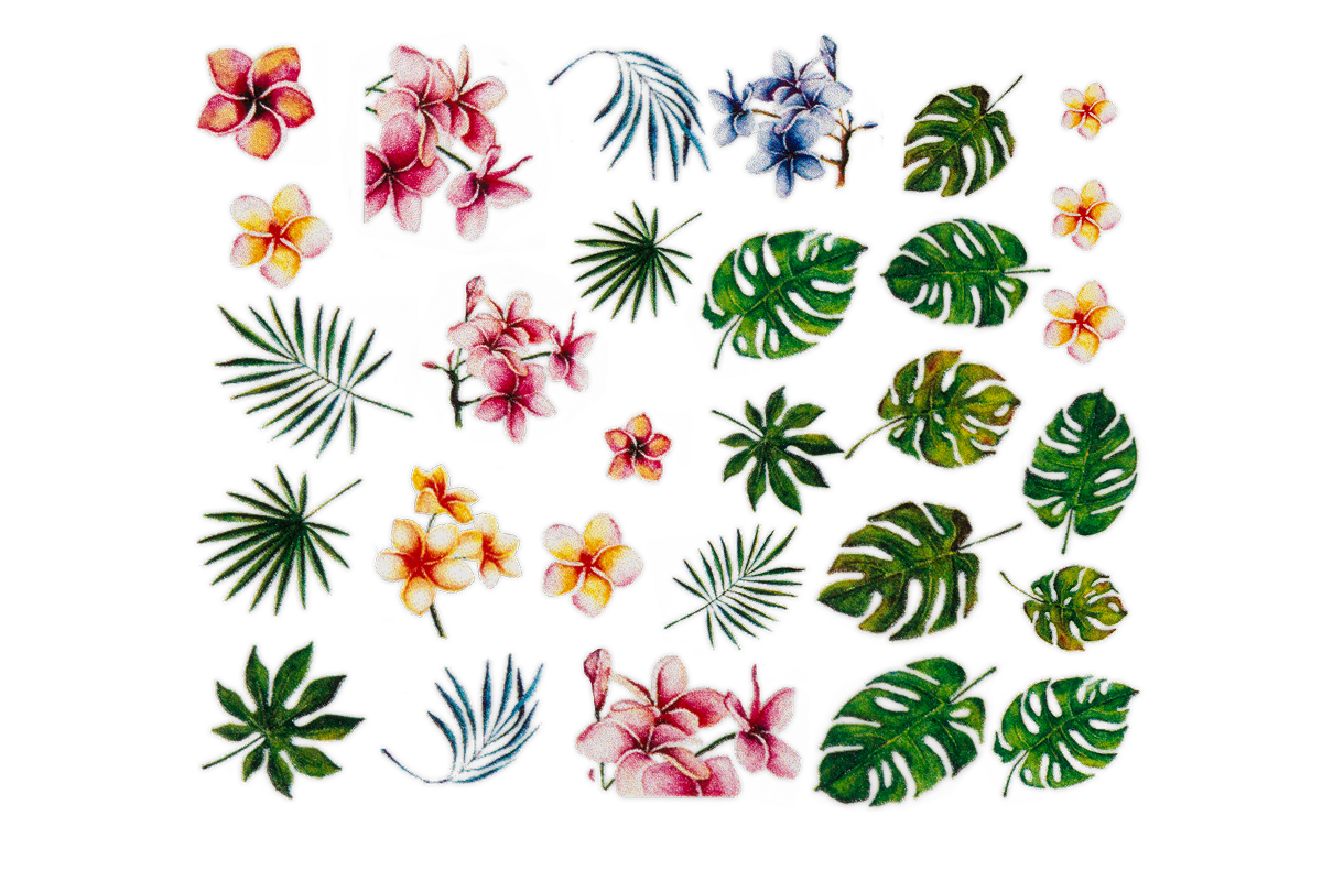 Jolifin Tropical Tattoo Nr. 23