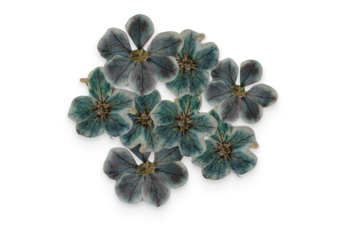 Jolifin Dried Flowers - kleine Blüten schwarz