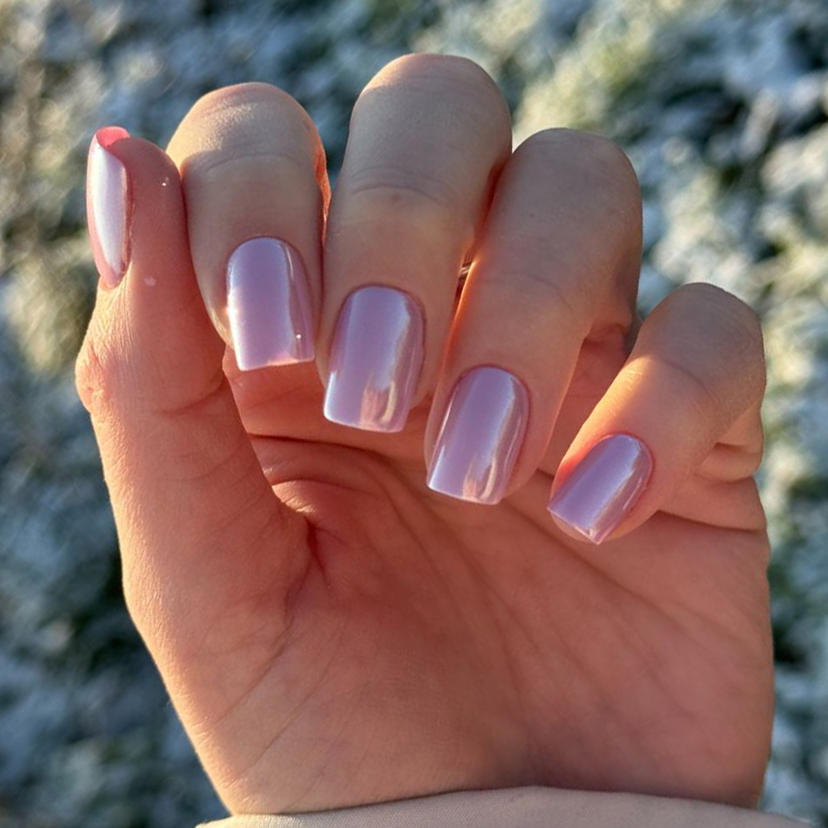 Glazed & Chrome