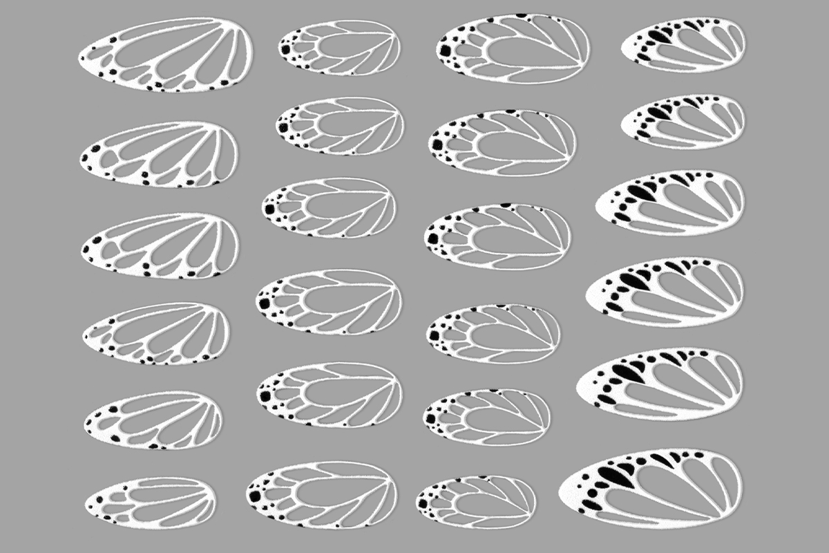 Jolifin LAVENI XL Sticker - white 34