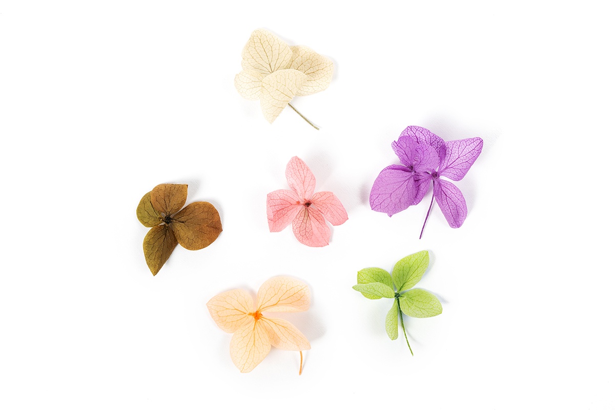 Jolifin XL Nail Art Display - Dried Flowers No. 4
