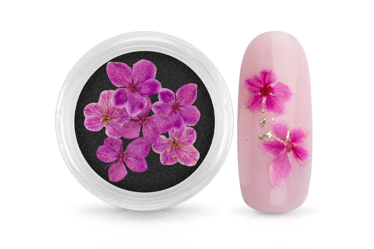 Jolifin Dried Flowers - kleine Blüten magenta