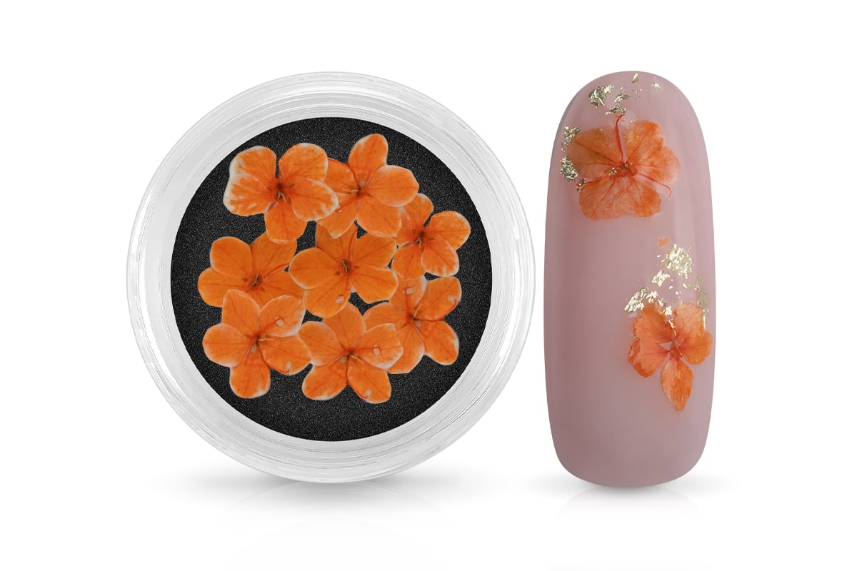 Jolifin Dried Flowers - kleine Blüten orange