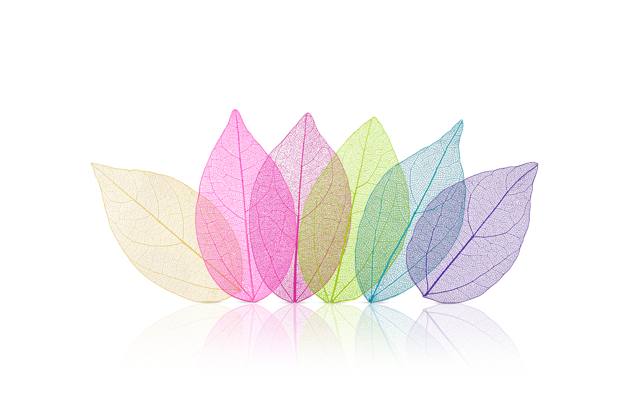 Jolifin Skeleton Leaves Set II