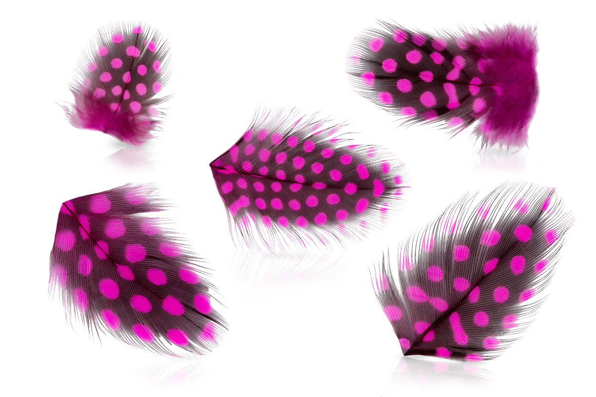 Jolifin Nail Art Feather baby-pink leopard