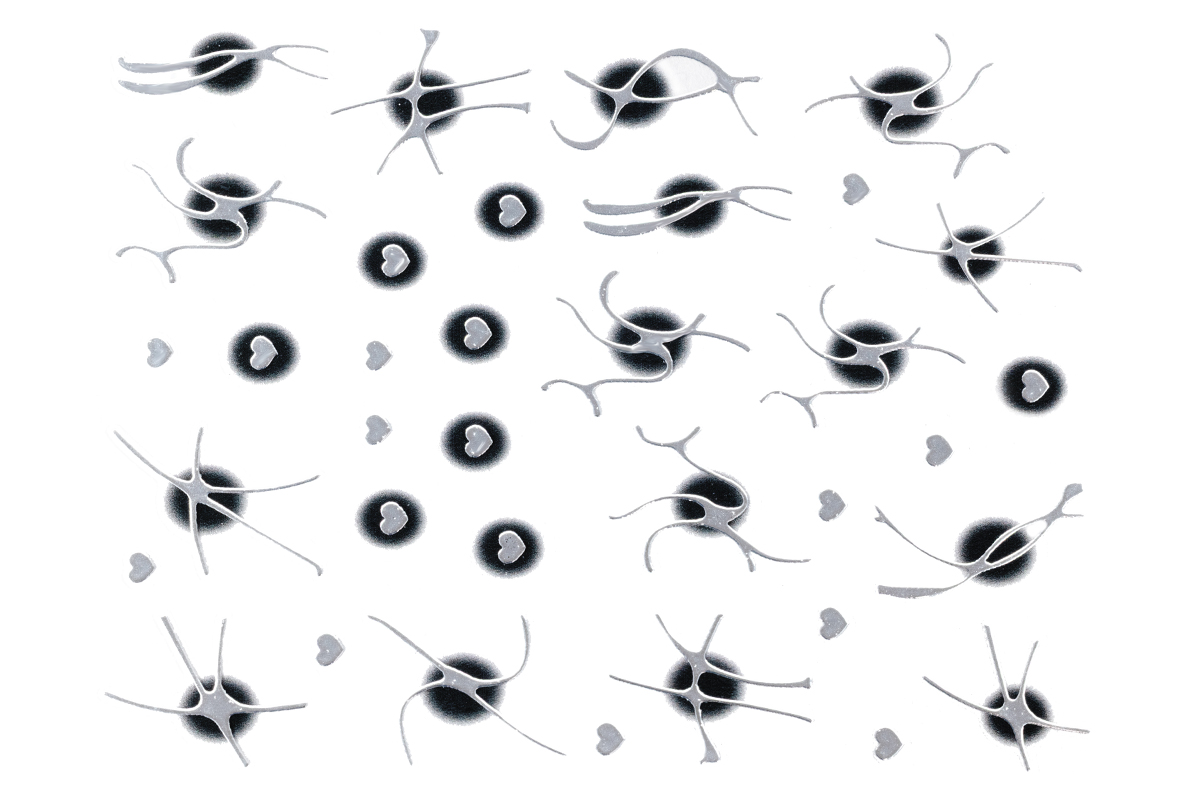 Jolifin LAVENI XL Sticker - silver II aura black